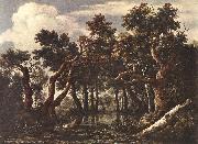 Jacob van Ruisdael The Marsh in a Forest china oil painting reproduction